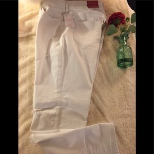 NWT Jennifer Lopez - Wt Curvy Capri. Sz12